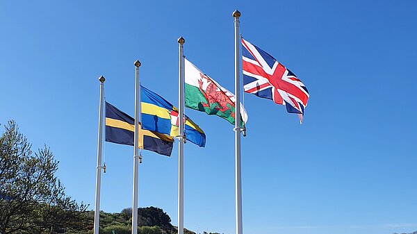 Learn about our campaigns across the Preseli region
